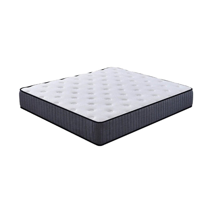 ATLAS Independent Bag Pack Spring Medium Firm Mattress