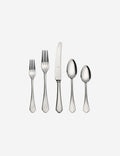#color::polished-stainless-steel #style::20-piece-set #style::5-piece-set