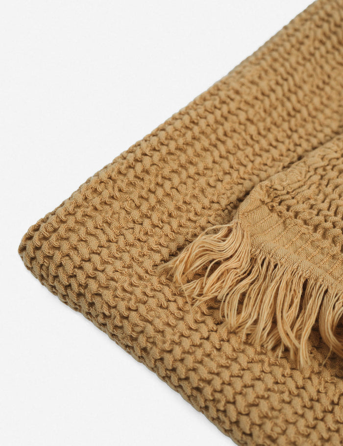 #color::latte #size::18--x-35-