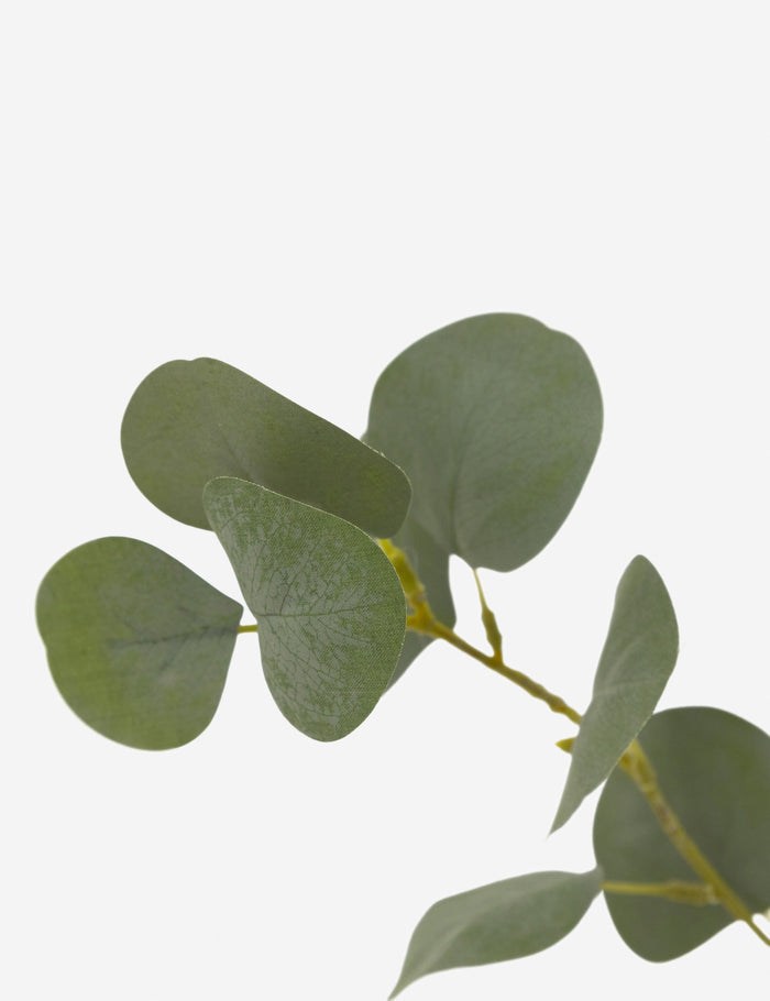 #size::7-