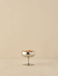 #color::stainless-steel #style::fruit-cup