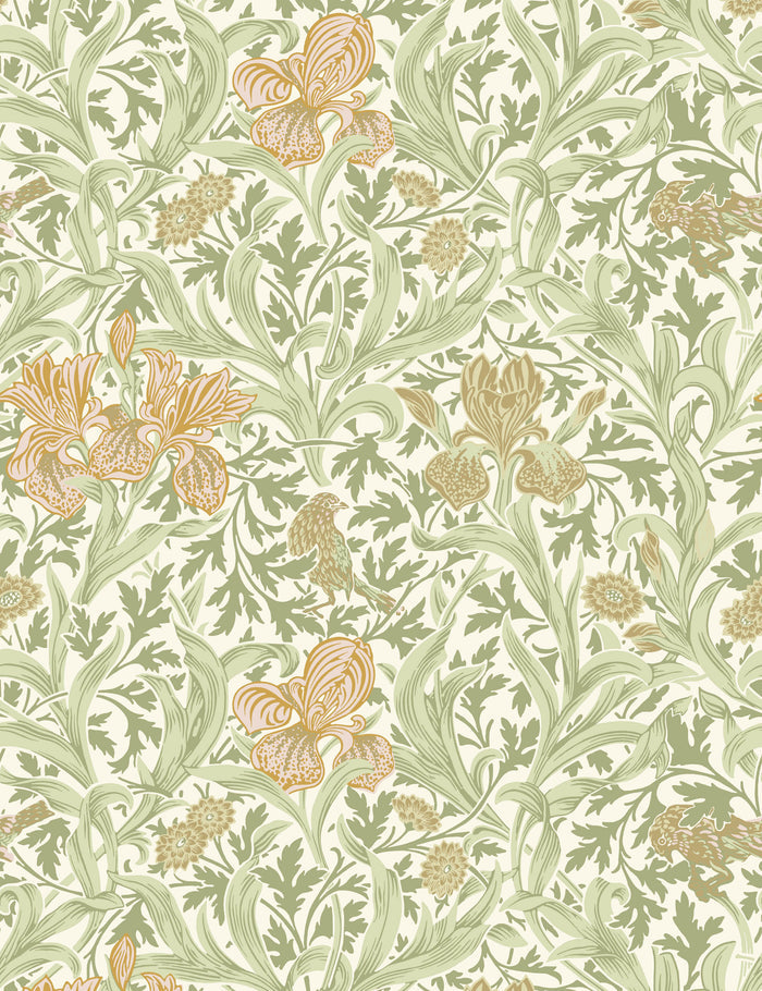 #color::light-green