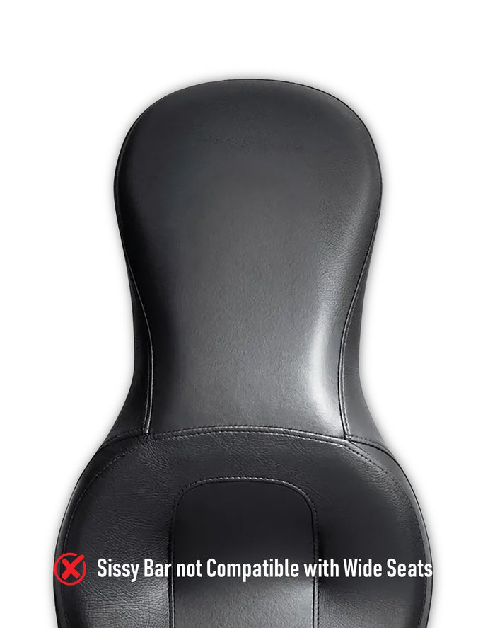 Iron Born Blade 25" Sissy Bar for Harley Softail Street Bob Matte Black Not Compatible with Wide Seat