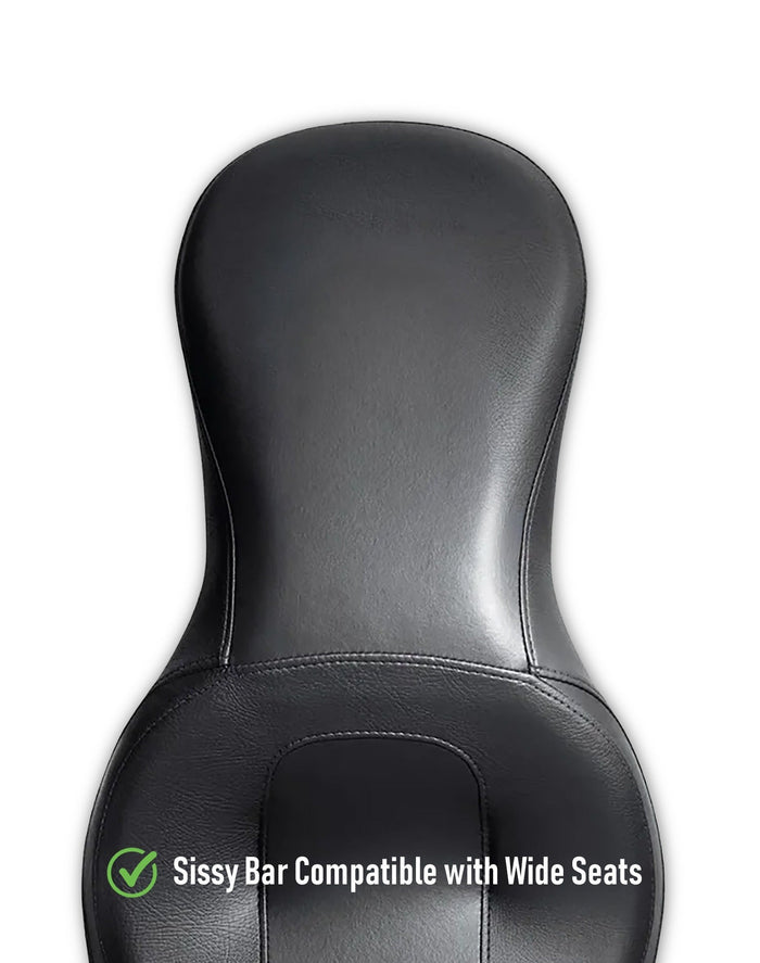 Iron Born Blade 25" Sissy Bar for Wide Seat w/ Foldable Rack for Harley Softail Low Rider FXLR Matte Black