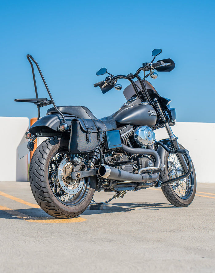 Iron Born Blade 25" Sissy Bar with Foldable Luggage Rack for Harley Dyna Street Bob FXDB Matte Black