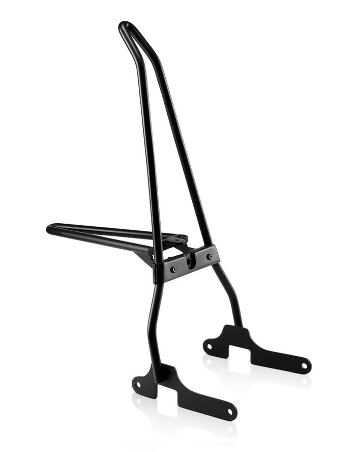 Iron Born Sissy Bar with Foldable Luggage Rack for Harley Sportster Forty Eight Matte Black Main View