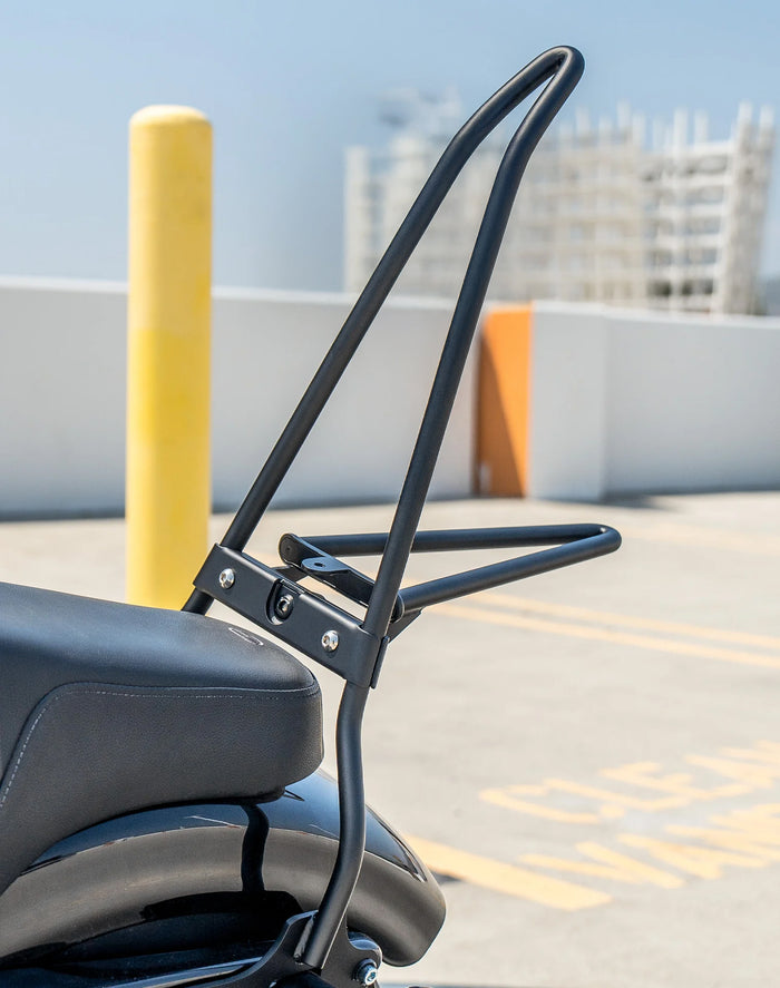 Iron Born Blade 25" Sissy Bar with Foldable Luggage Rack for Harley Sportster Forty Eight Matte Black Vertical Lifestyle