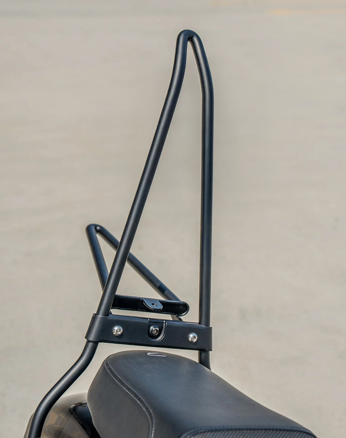 Iron Born Blade 25" Sissy Bar with Foldable Luggage Rack for Harley Sportster Forty Eight Matte Black Vertical Lifestyle