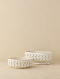 #color::ivory