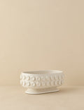 #color::ivory
