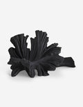 #color::black