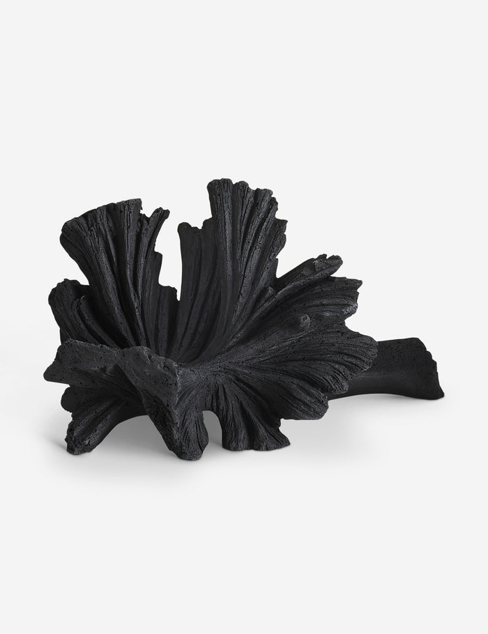 #color::black