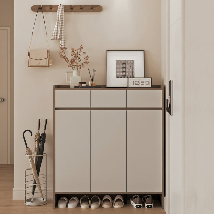 Modern Entryway Storage Shoe Cabinet with Drawers and Doors/Shoe Organizer