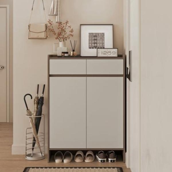 Modern Entryway Storage Shoe Cabinet with Drawers and Doors/Shoe Organizer