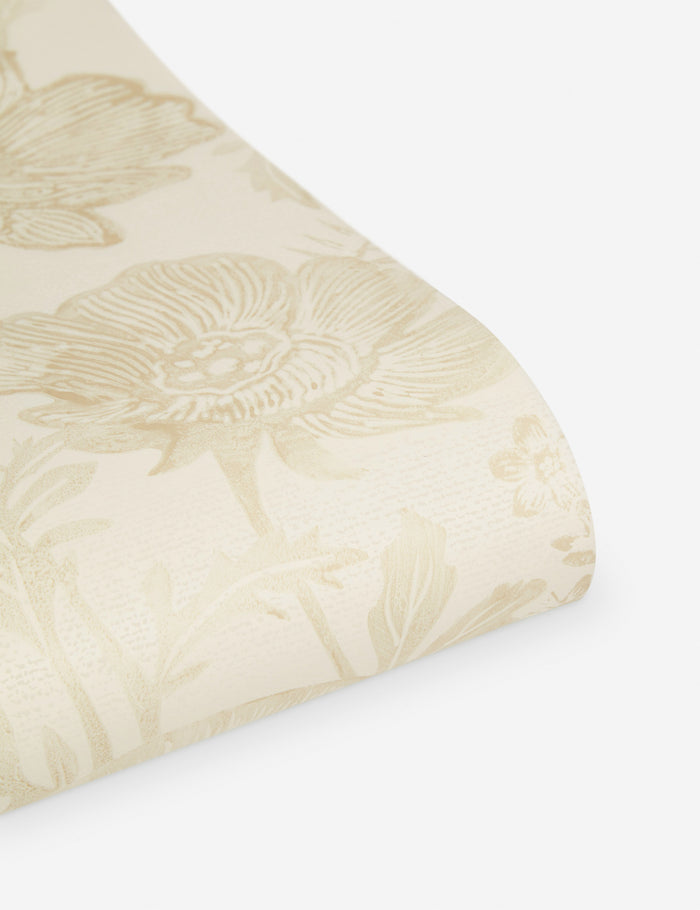 #color::ivory