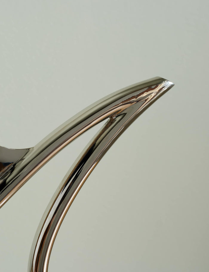 #color::polished-nickel