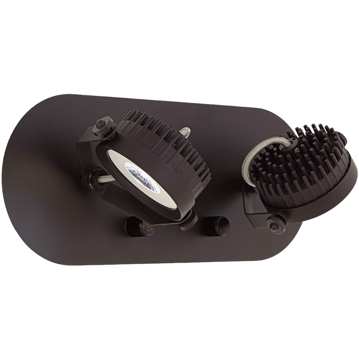 Spotlight Plug In Led Brown Two Head Wall Lamp