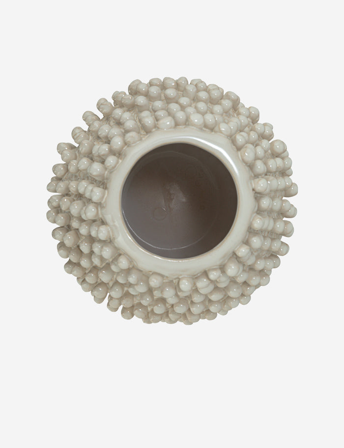 #color::cream